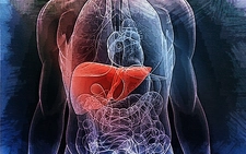 Karaciğer Sirozu Nedir? Belirtileri ve Tedavisi