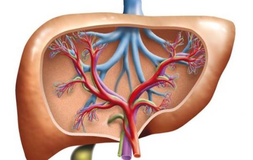 Karaciğer Yağlanması Siroz Belirtileri ve Tedavisi
